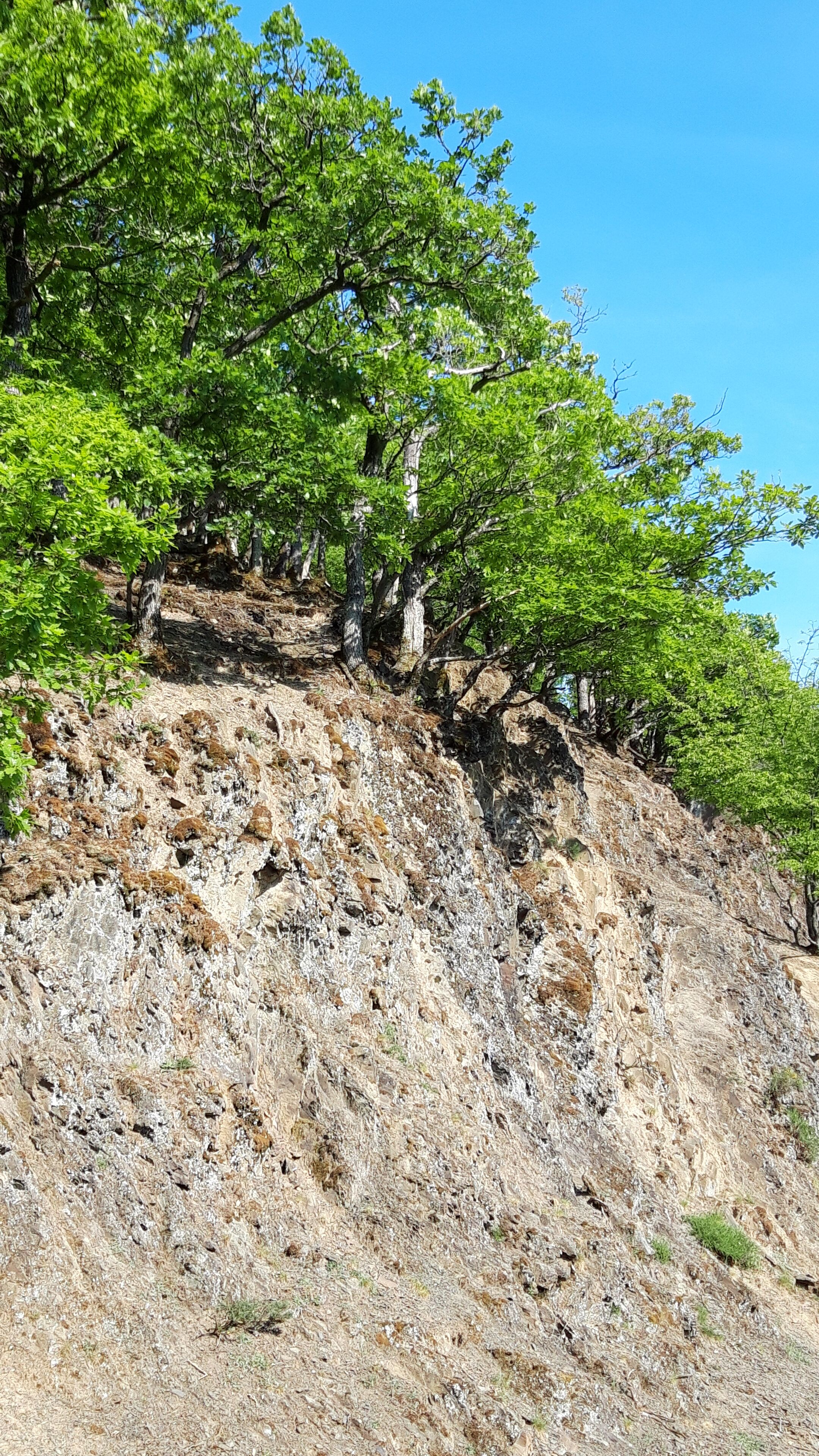 Une colline rocheuse avec une végétation clairsemée et quelques arbres.