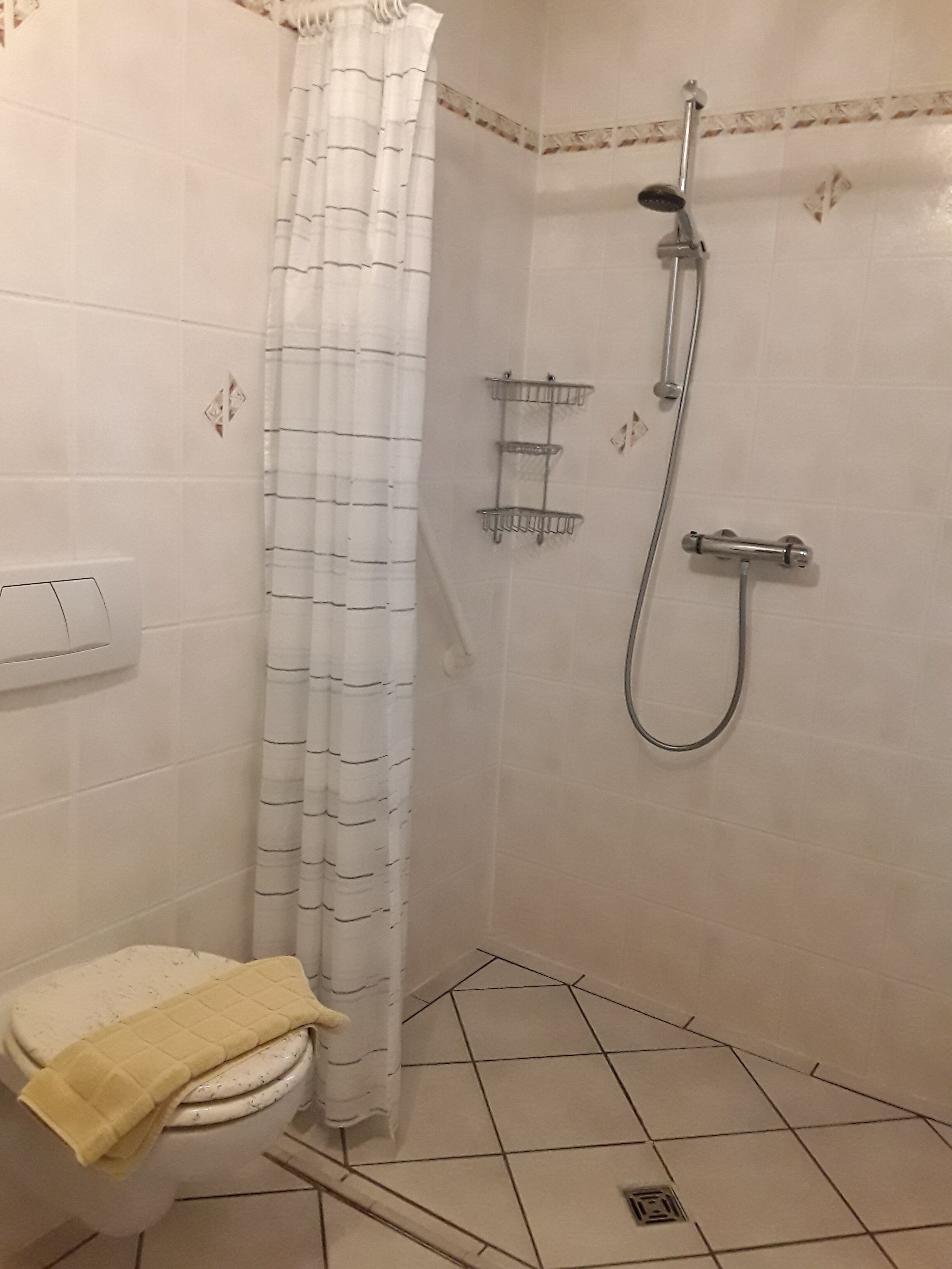 Un baño pequeño con inodoro, ducha y perchero para toallas.