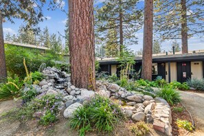 Property grounds - South Lake Chalet #2 (South Lake Tahoe)