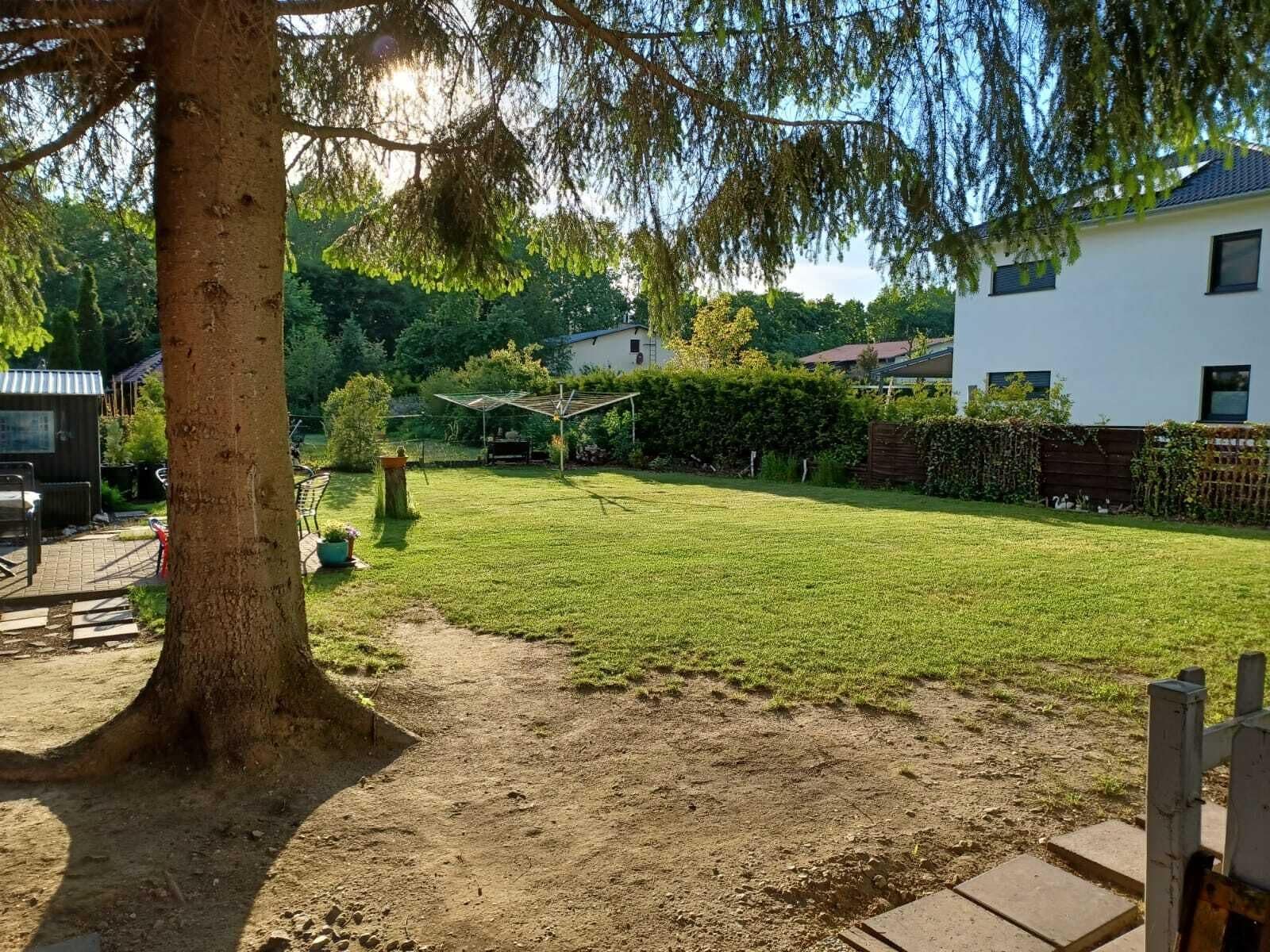 Ein Garten mit Rasen, einem Baum, einem Gartenhaus und einem Haus im Hintergrund.