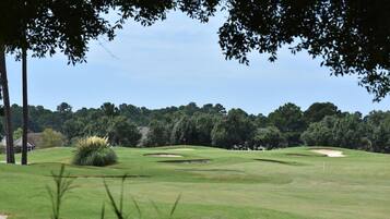 Condo, 1 Bedroom | Golf