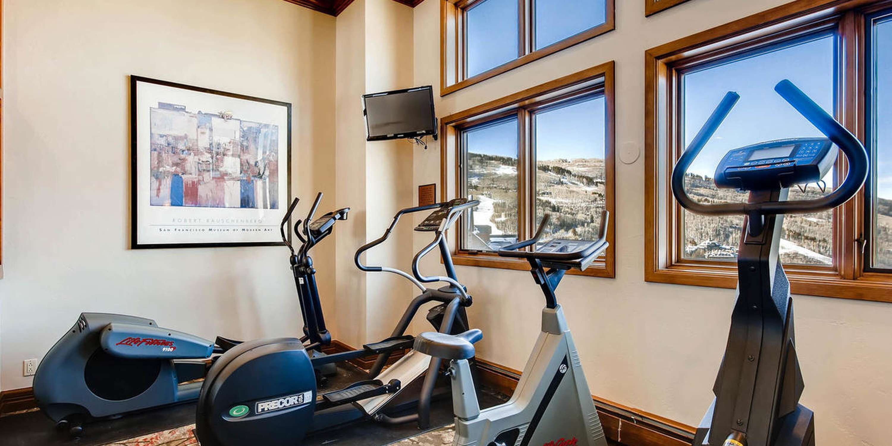 Una palestra con cyclette, ellittiche e tapis roulant, con ampie finestre che offrono vista su un paesaggio innevato.
