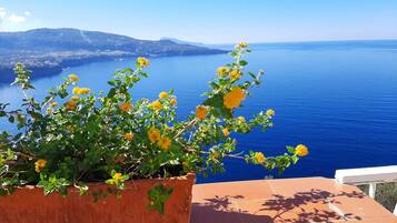 Una pianta in vaso con fiori gialli su una terrazza che si affaccia su un corso d'acqua e colline lontane.