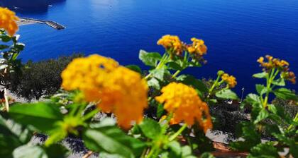 Bella Vista House Sorrento and Amalfi Coast - free parking-solarium