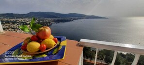 Property grounds - Bella Vista House Sorrento and Amalfi Coast - free parking-solarium (Vico Equense)