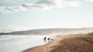 A beach with people and dogs on the sand, a clear sky, and distant hills. - Wild Rose Studio, 100M to the water (Goolwa South)