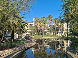 Garden - The Island Club by Smart City Stays (Cape Town)