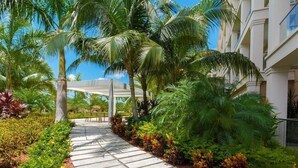 Un sendero bordeado por palmeras y plantas tropicales que conduce a una zona cubierta con un banco.