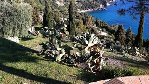 Property grounds - Gorgeous villa with private pool and private beach (Porto Santo Stefano)