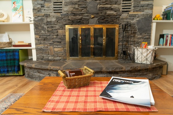 Fireplace with supplied logs and how - to INSTRUCTIONS