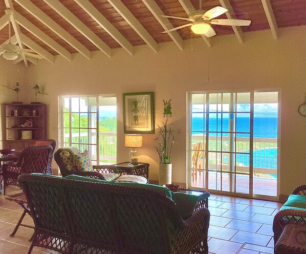 Smart TV, DVD player, books, video library