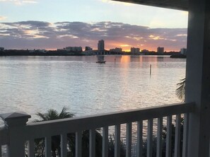 Property grounds - Luxuary Modern Beach House on the Intercoastal waterway. 5,550 sq ft (Clearwater)