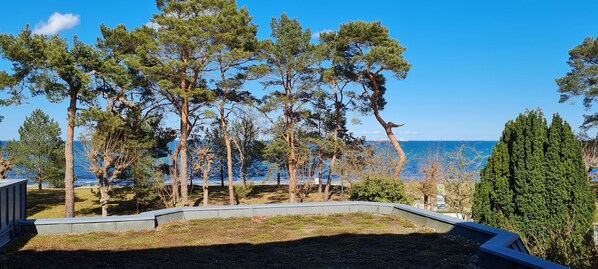 A coastal property with a view of the sea, surrounded by tall pine trees and a well-maintained lawn.