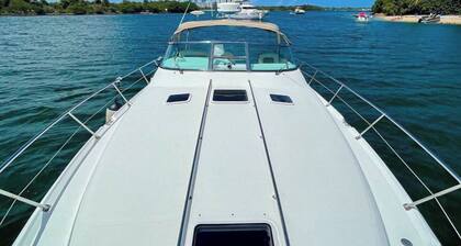 Wonderful day on the water (the boat is rental for hours 4-6-8)