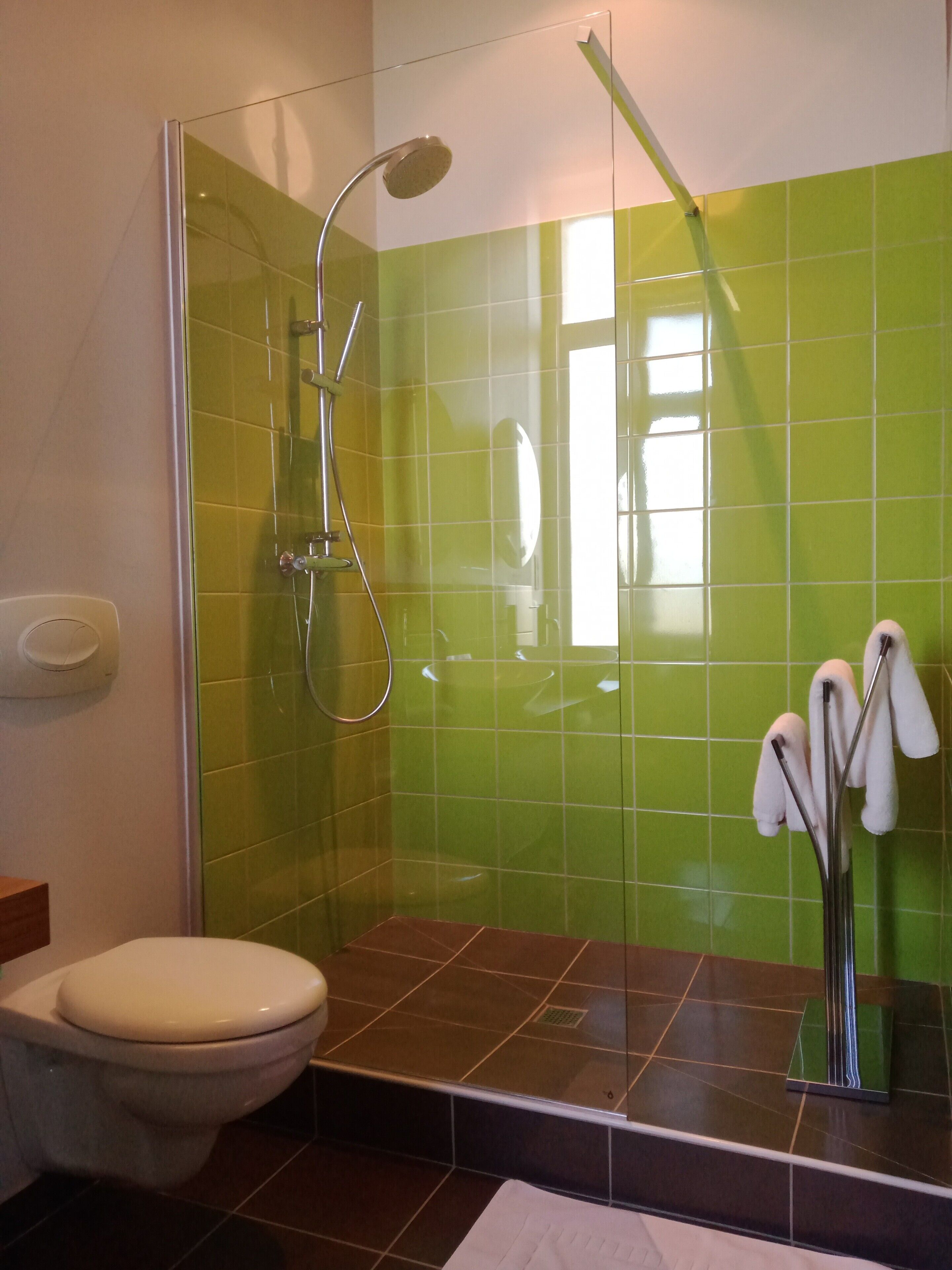 A bathroom with a glass-enclosed shower, a toilet, and a sink with a towel rack.