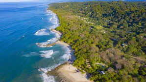 Luchtbeeld van een kustgebied met een strand, dicht bos en verspreide huizen.