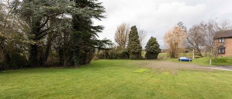 A grassy field with trees and a building in the background.
