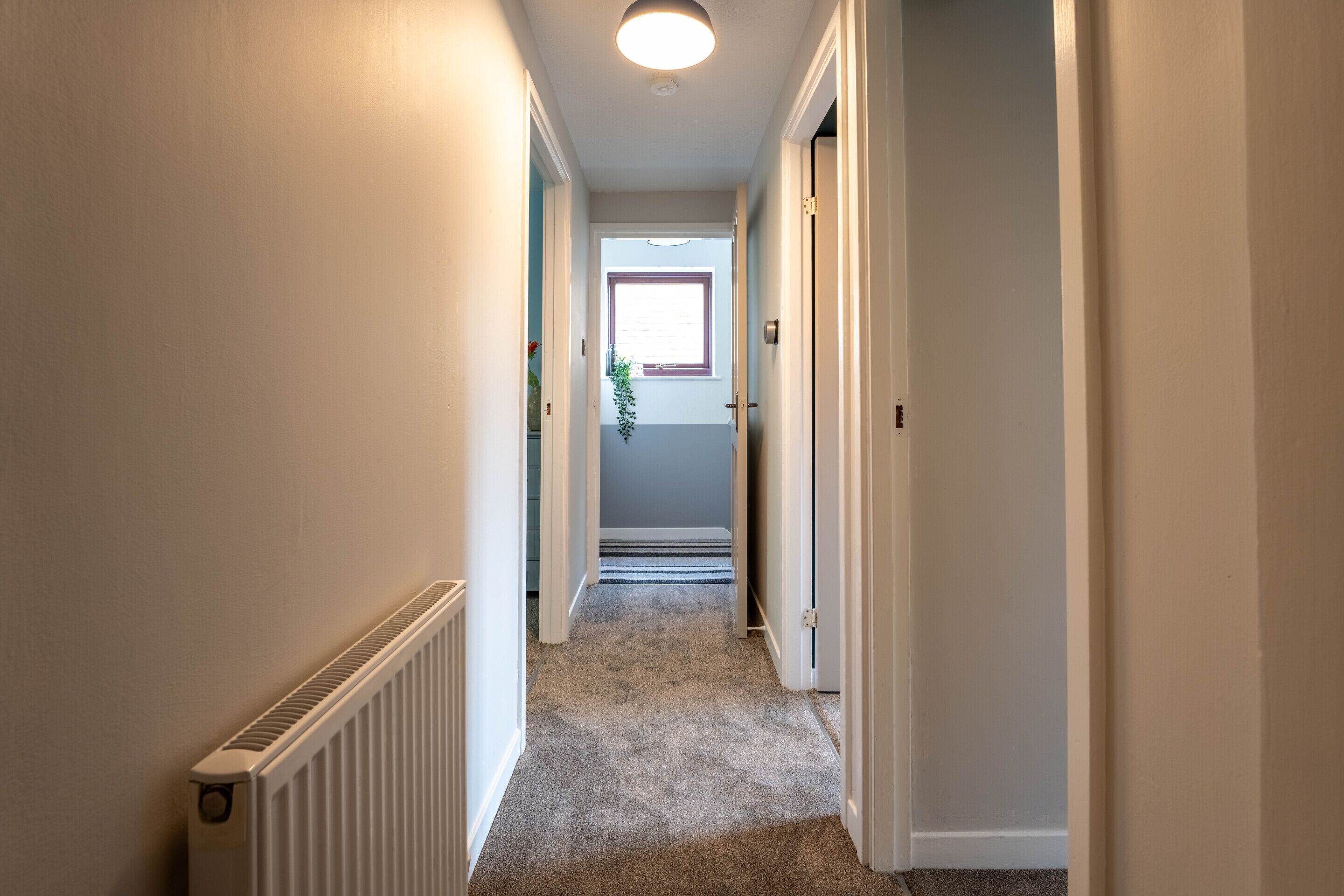 A narrow hallway with carpeted floors, white walls, and a radiator on the left.