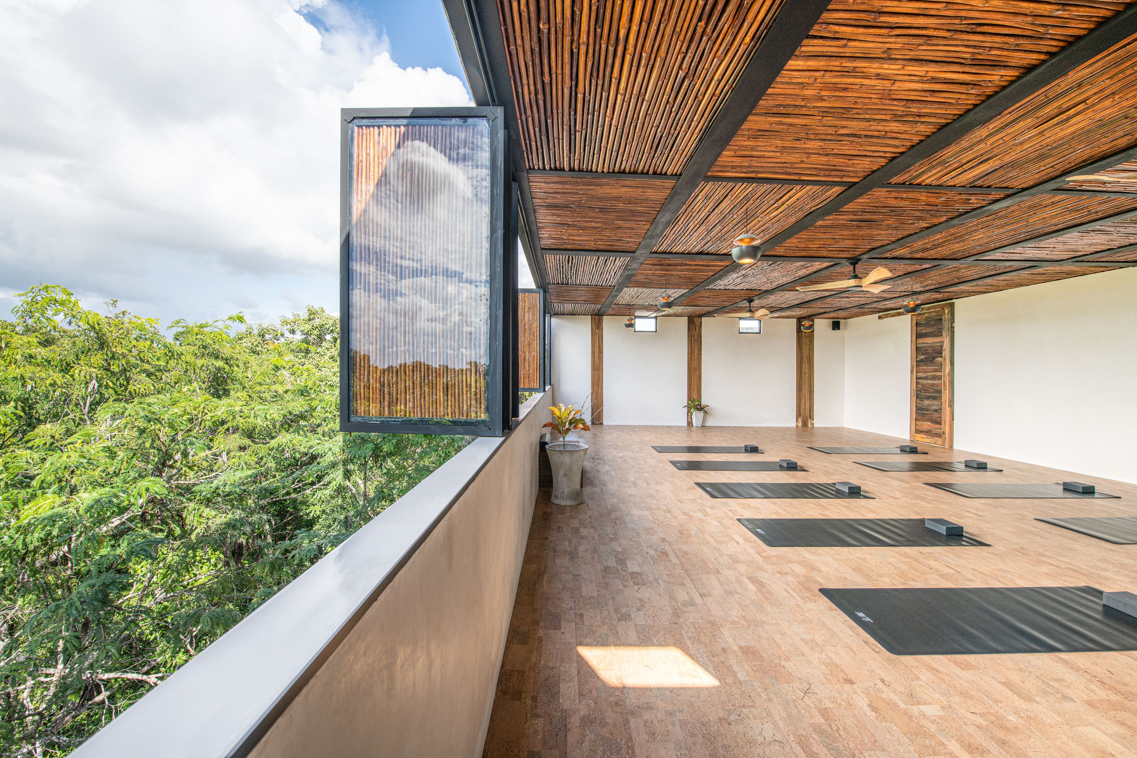 Un studio de yoga doté d’un plancher en bois, de tapis de yoga noirs et offrant une vue sur la verdure.