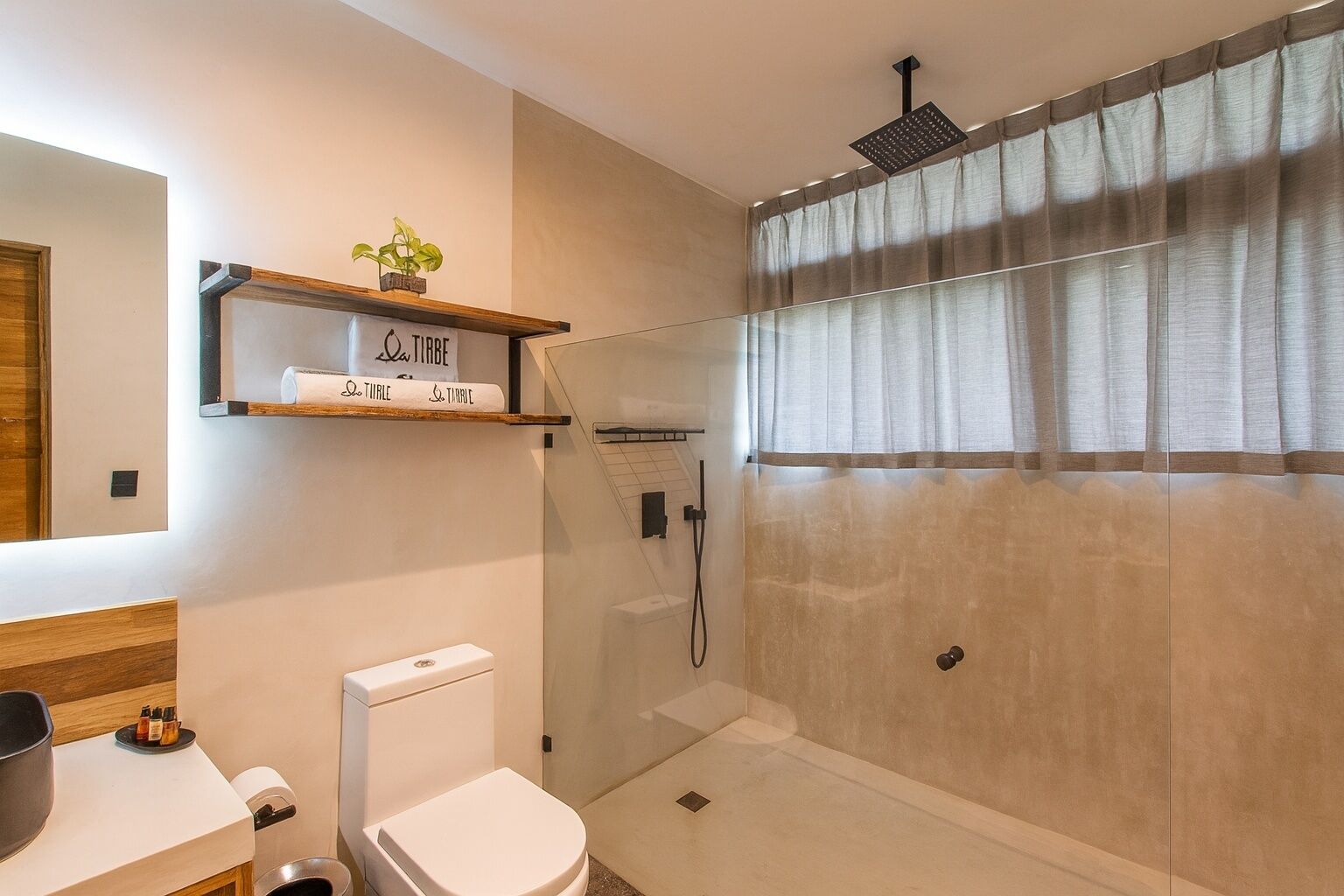 A modern bathroom with a toilet, a shower enclosure, and a shelf with a plant.