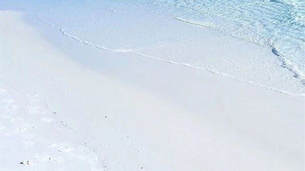 A beach with clear blue water and white sand. - Peach On The Beach 4 BR Beachfront Getaway, Rooftop Patio (Panama City Beach)