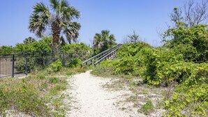 A sandy path leading through a natural area with palm trees and dense greenery. - Charming Cottage ~ Steps to the Beach ~ Pet Friendly (Saint Augustine)