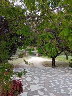 Uma trilha pavimentada leva a um portão cercado por árvores e arbustos.