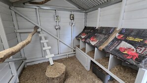 Un poulailler équipé d’une échelle en bois, de mangeoires et d’un perchoir.