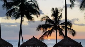Une scène de plage avec des palmiers et des huttes aux toits de chaume.