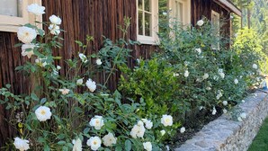 A rustic wooden house with a stone retaining wall and white roses in the garden. - Cozy Historic Cabin Near Hiking (Wolf Creek)