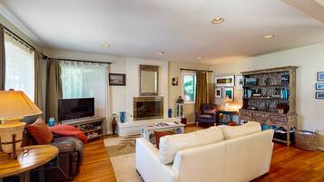 TV, fireplace, books, stereo