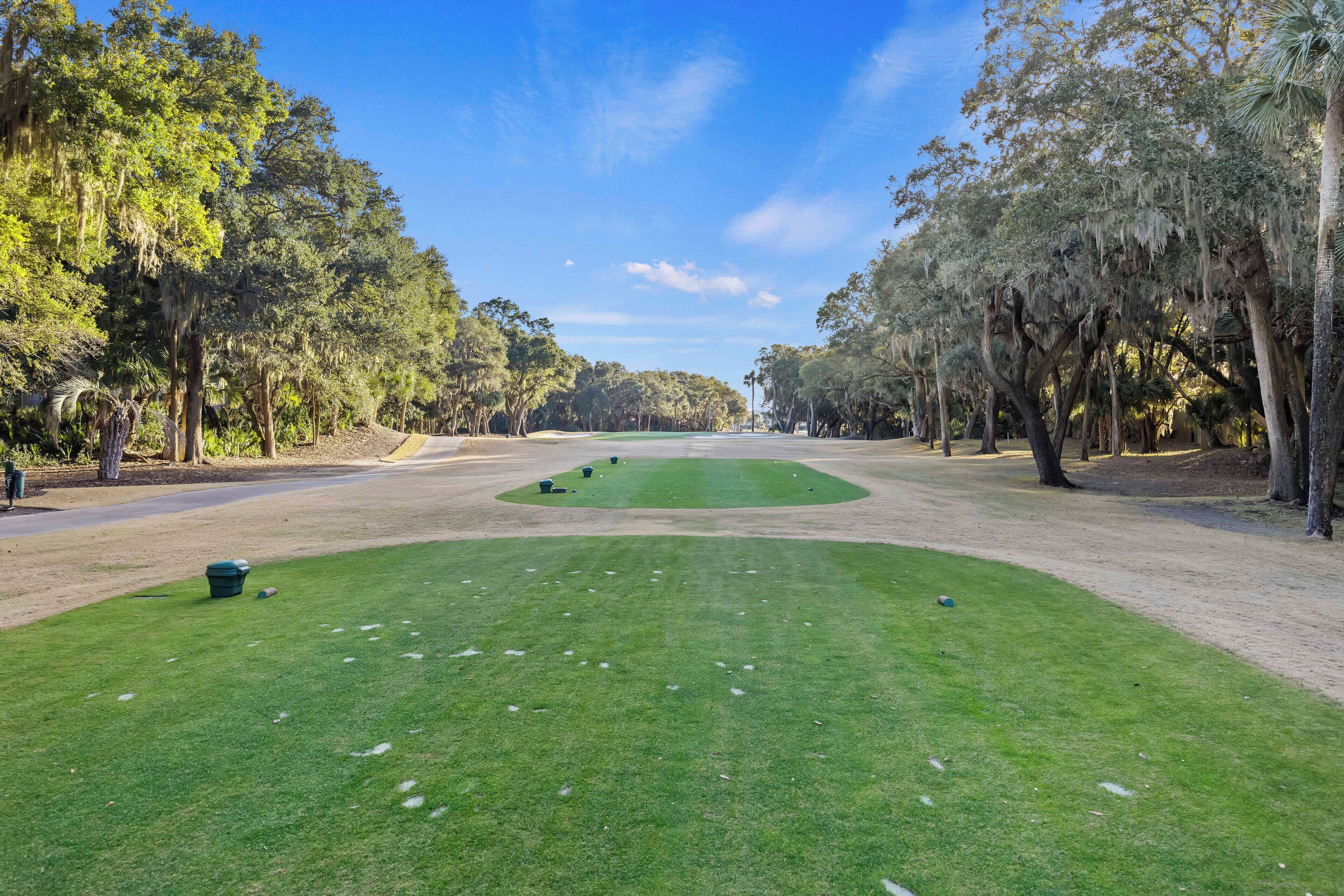 A golf course with a well-maintained green, trees, and a clear sky.