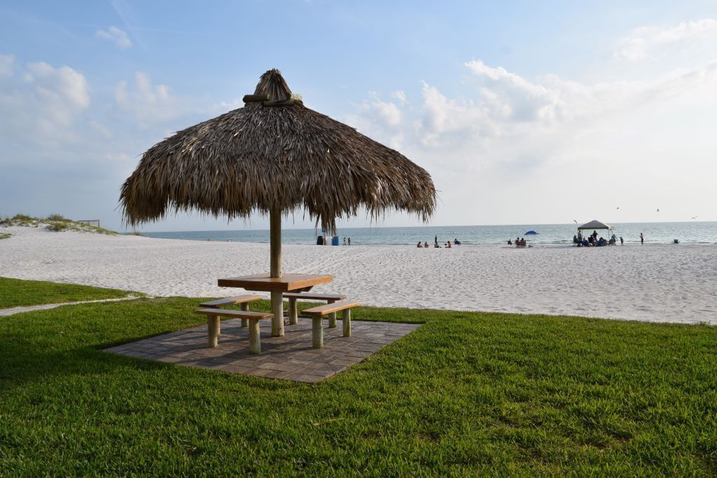 Une plage avec un parasol en chaume et des tables de pique-nique.