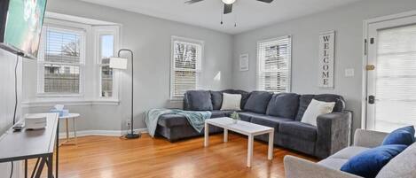 Fernseher, Arbeitsbereiche