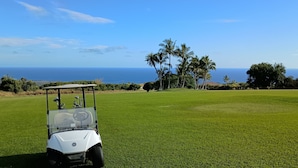 A golf cart on a well-maintained green with a clear view of the ocean and palm trees in the background. - POIPU KAPILI 46 - FABULOUS OCEAN VIEWS - WHOLE UNIT AC - WALK TO BEACH/ SHOPPING (Koloa)