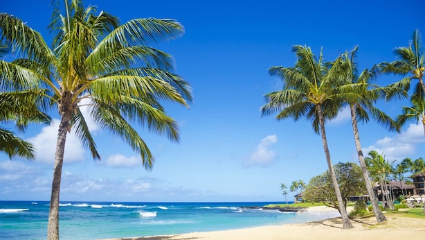 A beach with palm trees, clear blue sky, and ocean waves. - POIPU KAPILI 46 - FABULOUS OCEAN VIEWS - WHOLE UNIT AC - WALK TO BEACH/ SHOPPING (Koloa)