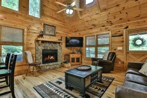 TV, fireplace