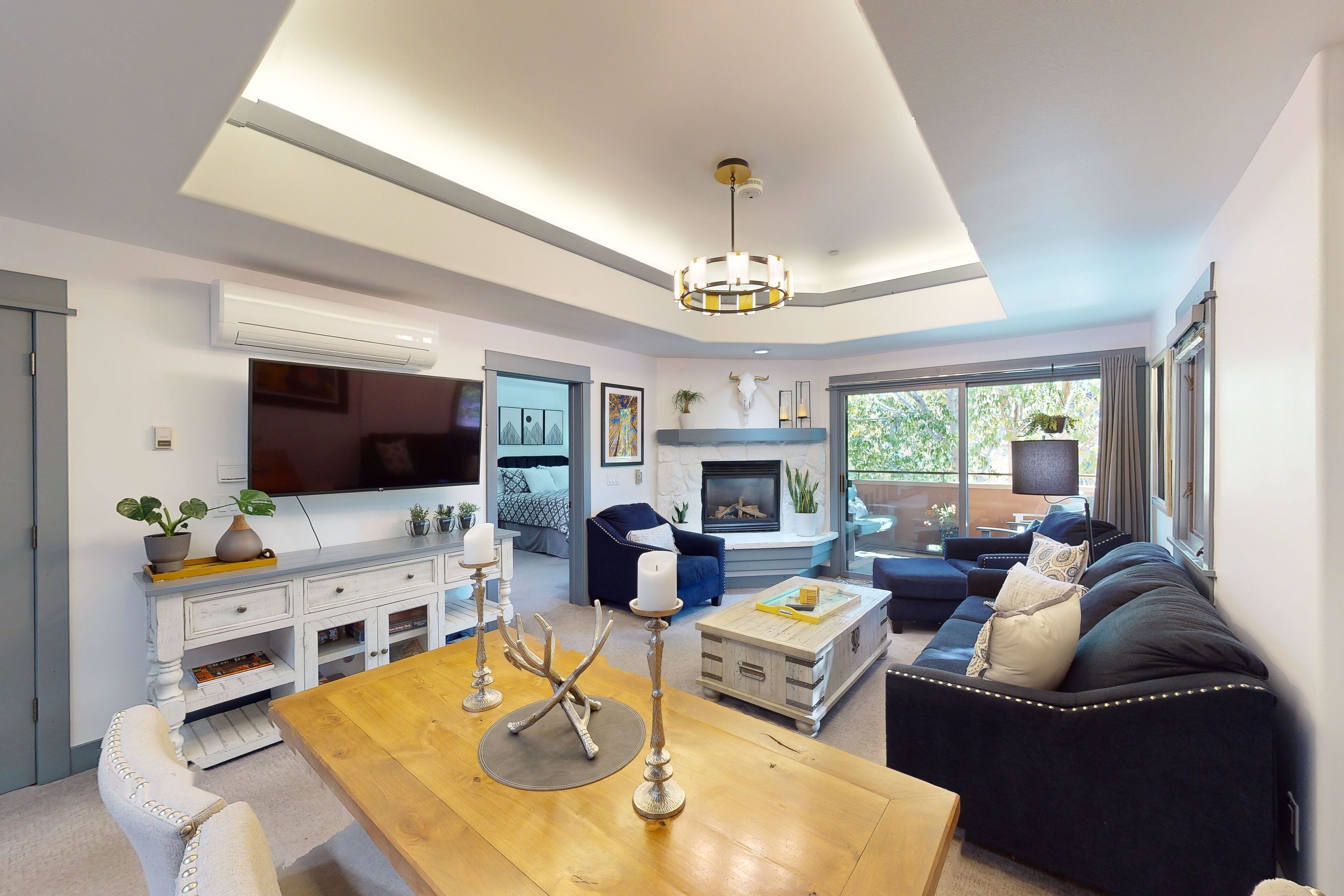 TV, fireplace, books