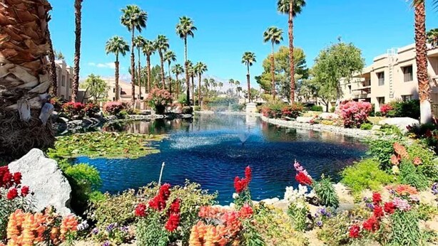 A garden with a pond, palm trees, and colorful flowers.