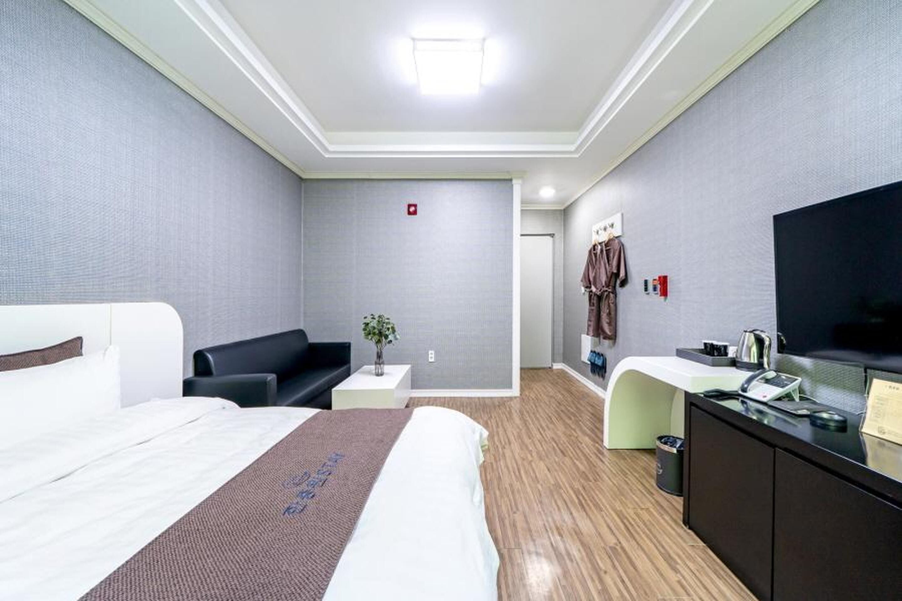 A hotel room with a bed, a desk, a chair, a TV, and a small plant.