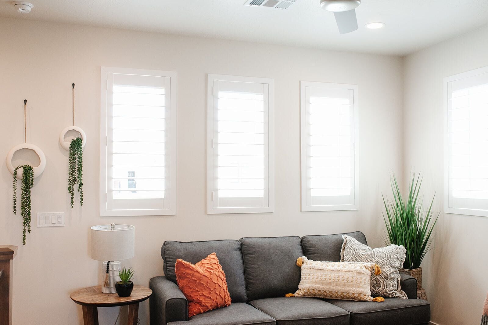 Fernseher, DVD-Player