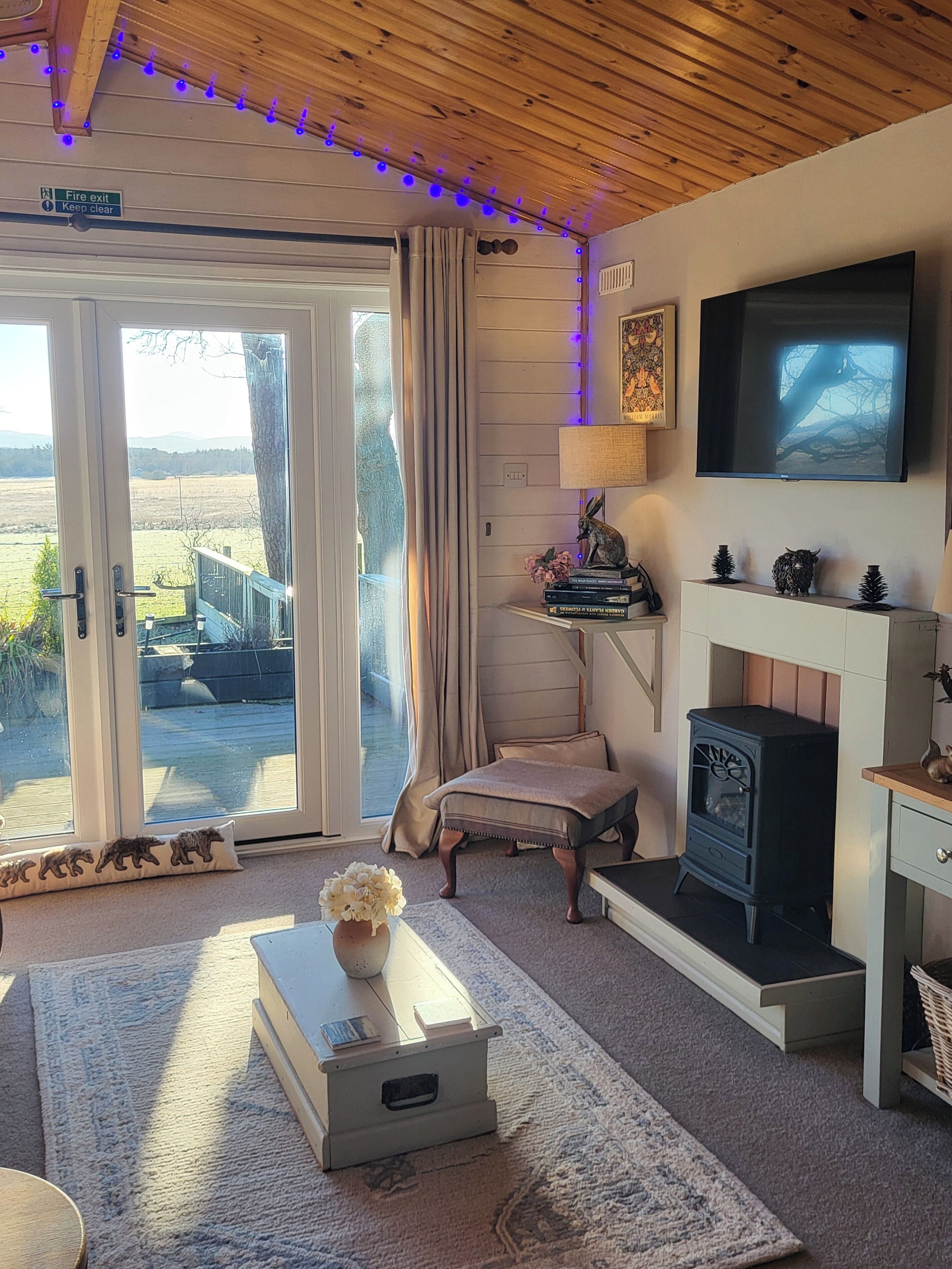 TV, fireplace, books