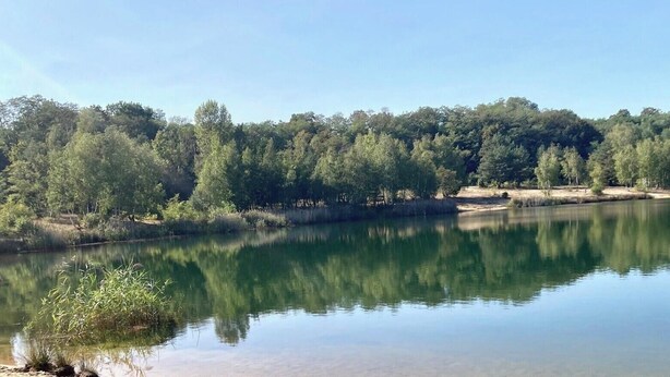 Ein ruhiger See, umgeben von dichtem Wald.
