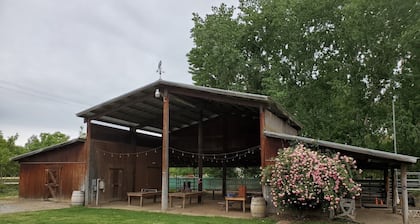 Hacienda de las Rosas Animal Sanctuary and Farm Experience
