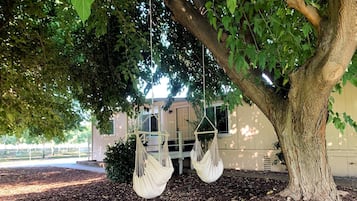 Relax in a serene outdoor seating area under a majestic tree, featuring two hammocks suspended from its branches.