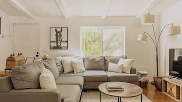 Smart TV, Netflix, Hulu, table tennis