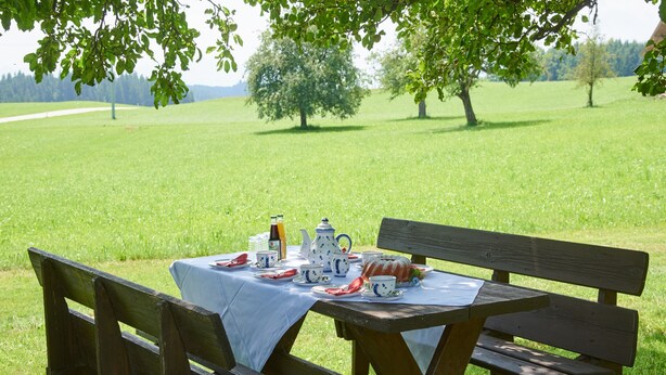 Un coin pique-nique aménagé avec une table, des bancs et une nappe, installé dans un champ herbeux.