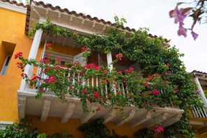 Detalle exterior