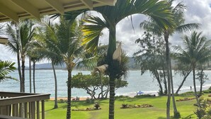 Uitzicht vanaf een balkon op een strand met palmbomen en een gazon.