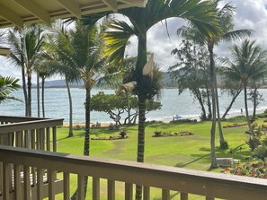 Property grounds - Beautiful Top Floor - GREAT Ocean View - sleeps 3 - Renovated (Kapaa)